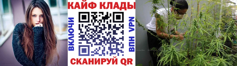 Где можно купить наркотики Городец Бошки Шишки  Alpha-PVP  БУТИРАТ  Меф мяу мяу  ГАШ 