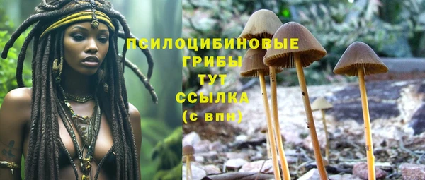 героин Белокуриха