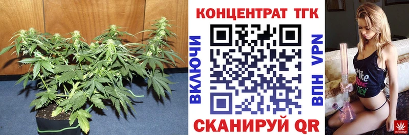 купить наркотик  Городец  ТГК концентрат 
