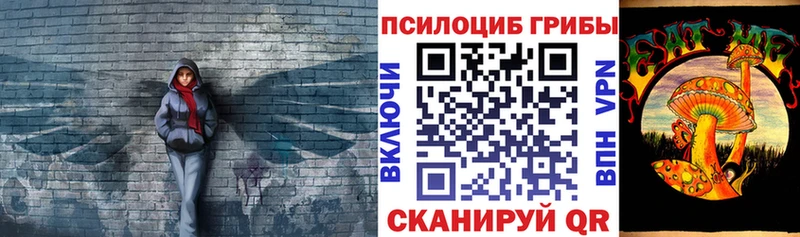 купить закладку  Городец  mega как войти  Галлюциногенные грибы GOLDEN TEACHER 